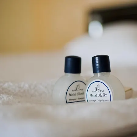 欧蓝卡酒店 3* 希德沃维茨